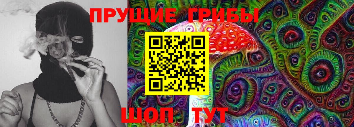 Псилоцибиновые грибы Psilocybe Пугачёв